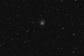 M101. Galàxia del Molinet