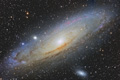 M31