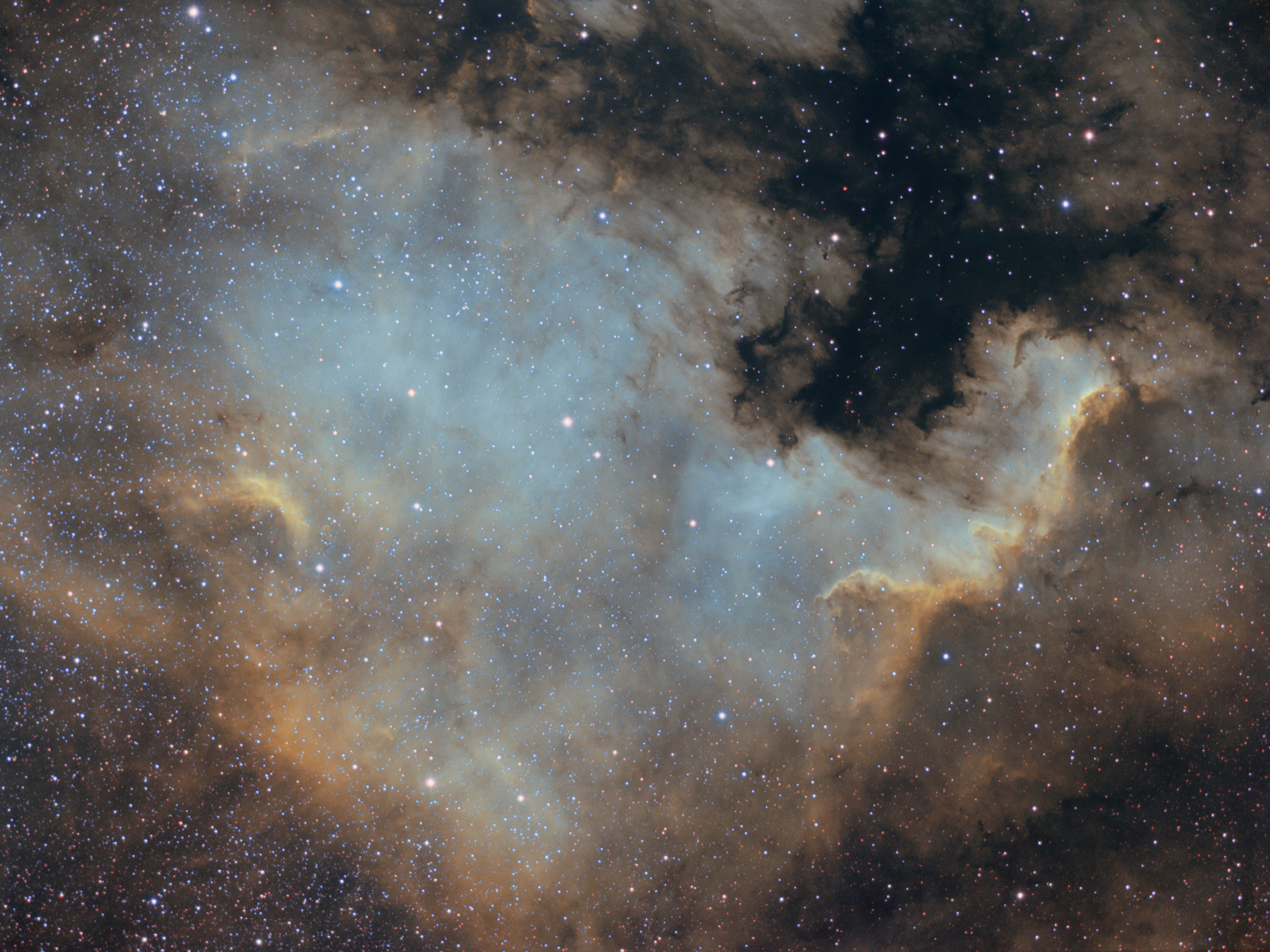 NGC 7000